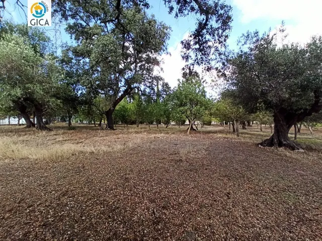CASA CON PARCELA  EN LA SIERRA DE CADIZ -EL BOSQUE — 41