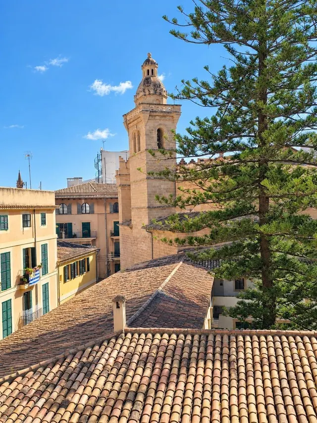 PISO EN EL CENTRO DE PALMA — 14