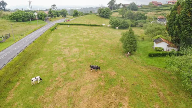 Terreno urbanizable en Pruvia para 4 viviendas unifamiliares - foto 2