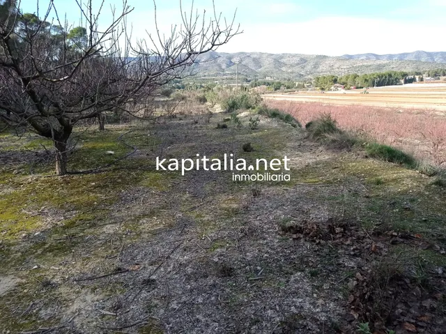 PARCELAS A LA VENTA EN LOS TERMINOS DE ONTINYENT Y AGULLENT, ZONA CALS XOPS Y CAL CANONGE — 6