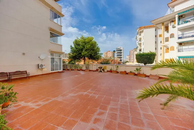 Apartamento 1 habitación 55m² en venta - La Siesta - El Salado - Torreta — 16