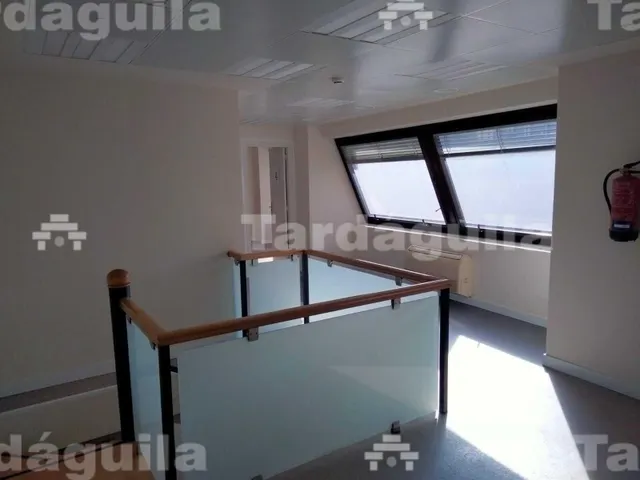LOCAL EN PUERTA ZAMORA. — 8