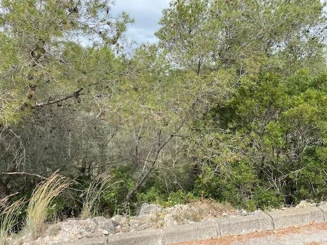 PARCELA EN VENTA EN OLIVELLA — 4