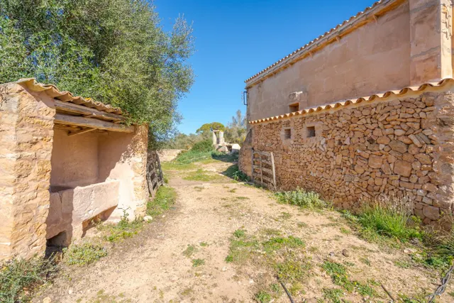 Finca de 124 hectáreas con vivienda en Puigderrós, Llucmajor. — 3