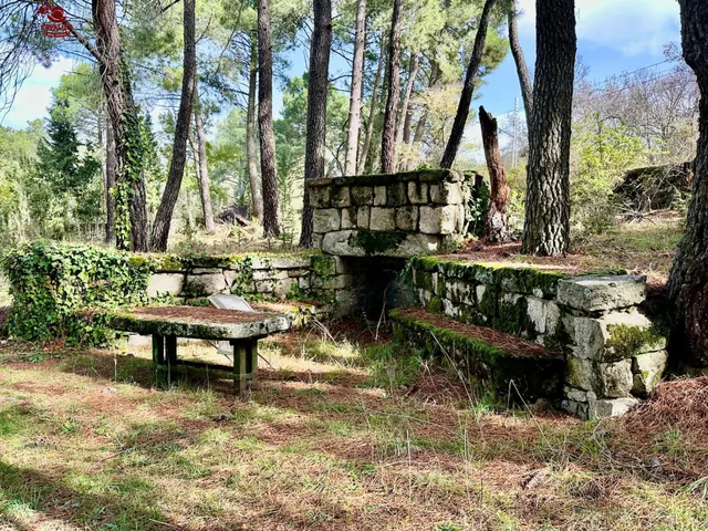 Terreno de 10.117m2 con vivienda de 75m2 rodeado de un precioso bosque — 13