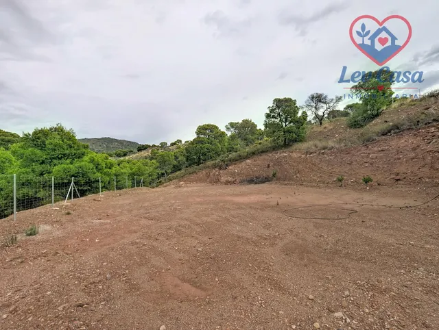 FINCA DE 10.400 M2 CON PISCINA EN SIERRA ESPUÑA — 120.000 € — 8