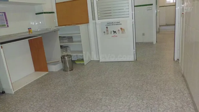 Local comercial 125m² en venta - Sector Quinto - foto 2