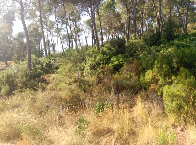 Espectacular terreno que da a dos calles, en Corbera de Llobregat, cerca Hotel Can Fisa. — 29