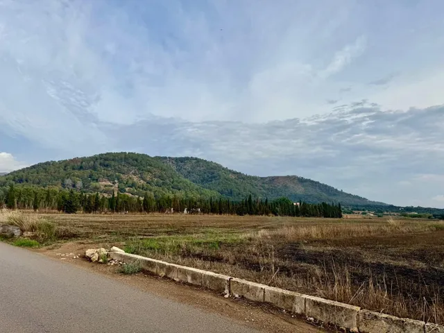 Terreno rural en venta - Pobla (Sa) — 8
