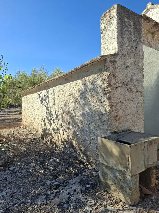 Amplia Propiedad de Olivos con Caseta y Garaje en Entorno Na - foto 3