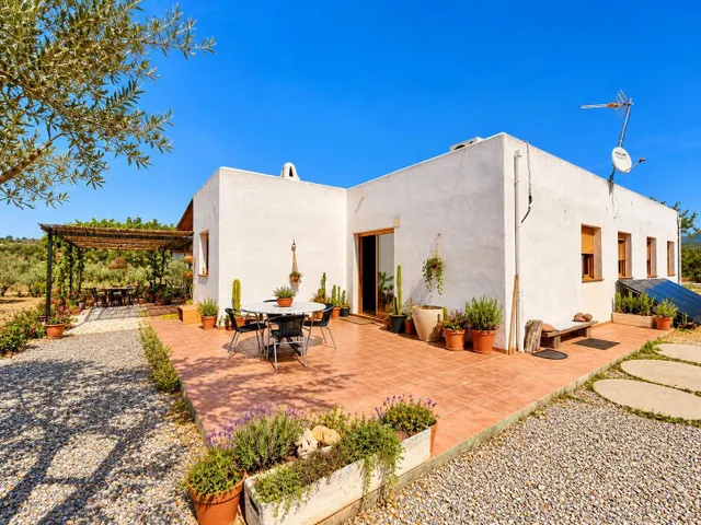 Finca de 11.000 m2 con 2 edificaciones y gran sala polivalente en Jérica — 20