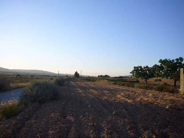 Finca de Recreo 60m² en venta - Comunidad valenciana - foto 2