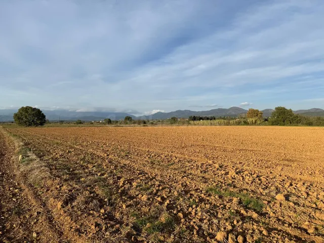 Terreno rústico de 23.000 m2 en Garriguella – Un entorno nat - foto 3