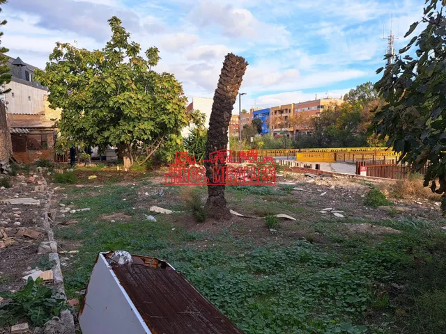 INTERESANTE CASA PARA REFORMAR EN ASPE — 15