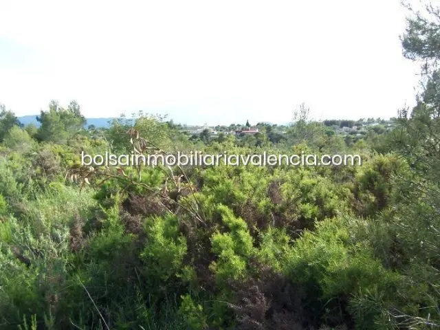 Terreno rural 8000m² en venta - La Raiosa — 30