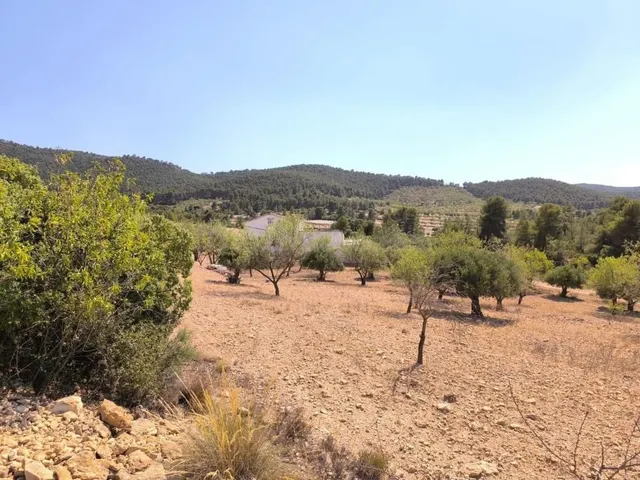 Villa 4 habitaciones 269m² en venta - Las Virtudes — 5