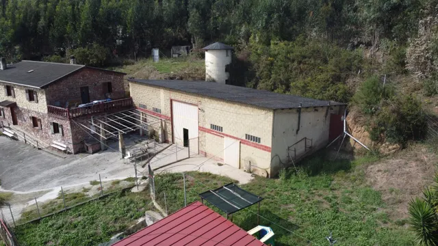 4 Naves, 21.000 m2 de Finca y Casa de 5 habitaciones en Serín, Gijón — 44