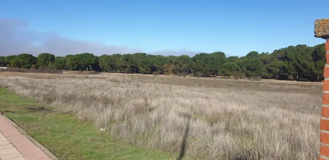 Urbis te ofrece parcelas urbanas en Aldeamayor de San Martín, Valladolid. — 21
