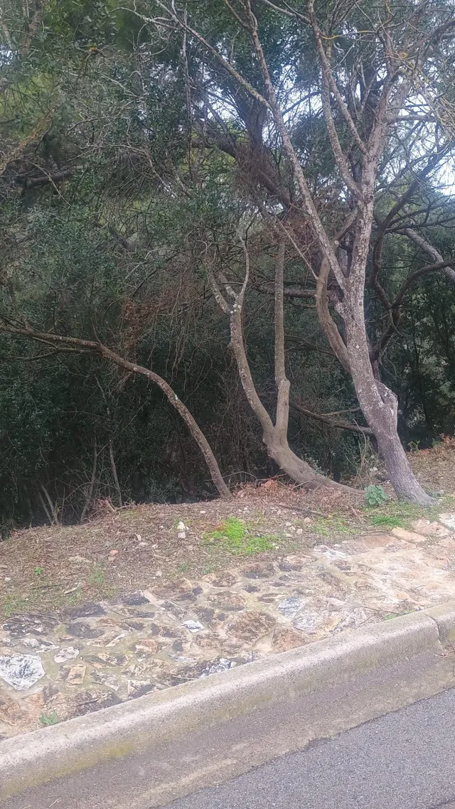 SOLAR URBANO TURÍSTICO EN BEGUR-GIRONA — 17