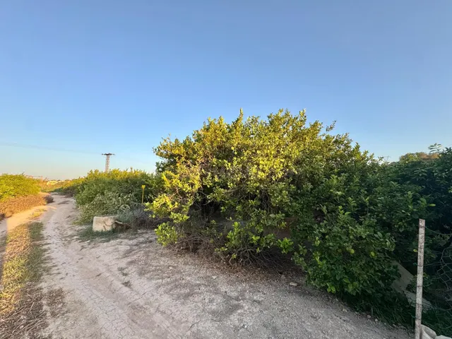 TERRENO RÚSTICO EN VENTA A TAN SOLO 5 MIN DE ORIHUELA CON PL - foto 4