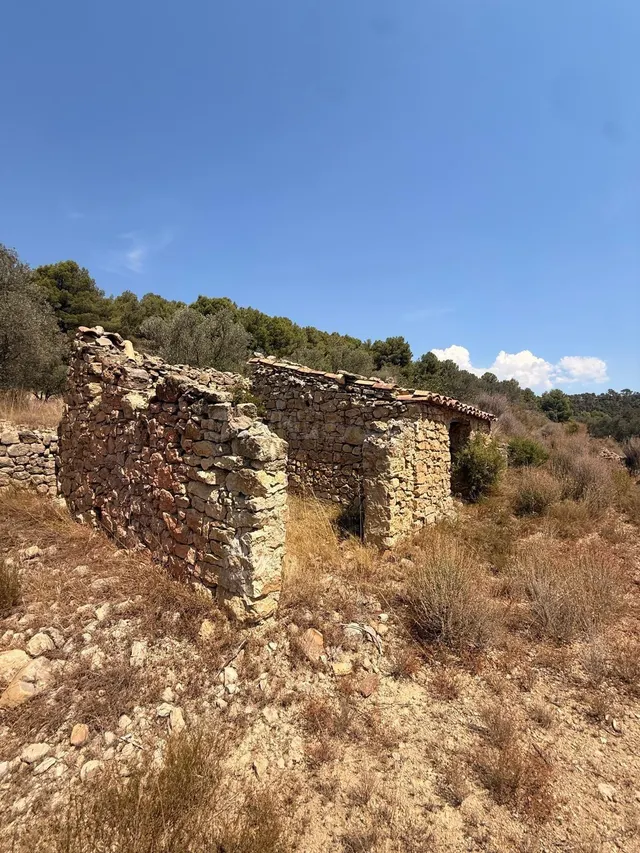 ¡GRAN OPORTUNIDAD: SE VENDE PARCELA CON CASETA DE PIEDRA Y O - foto 2