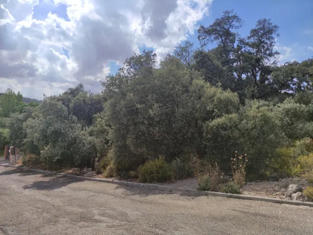 EN VENTA PARCELA URBANA EN URBANIZACIÓN LAS FUENTES DE FUENTENOVILLA (GUADALAJARA) — 14