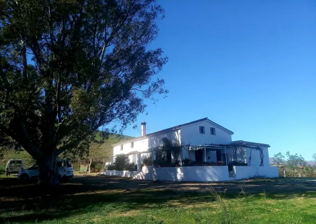 CORTIJO PARA TI Y TUS ANIMALES — 2
