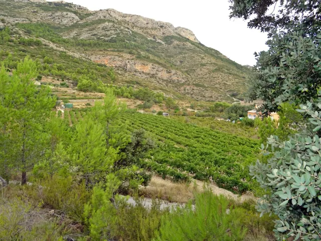 Bodega en venta en Jalon — 16