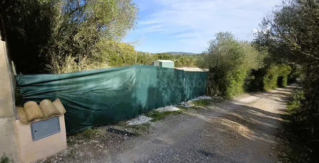 Finca rústica con agua de contador y caseta, a pocos minutos - foto 4