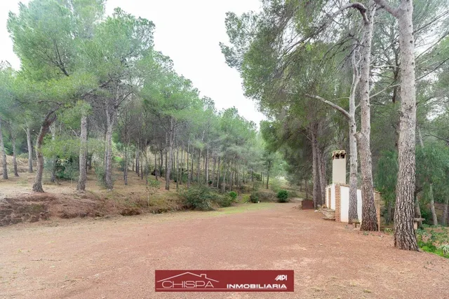 Espectacular villa en una de las mejores zonas de Nàquera - foto 5
