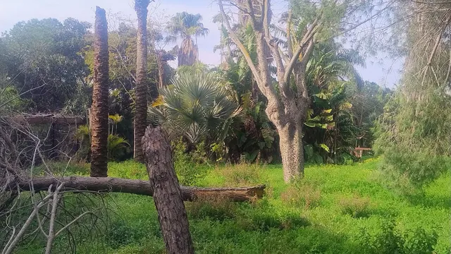 Parcela 727m² en venta - Marbella — 6