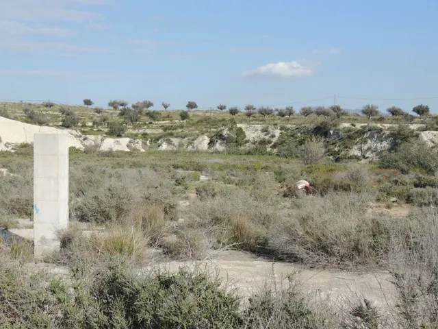 ++Terreno no urbano en carretera de molina de segura a fortuna, primera linea de carretera++ — 2