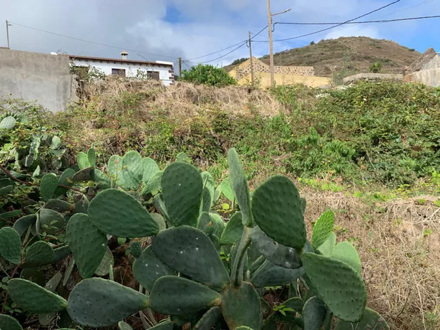 Casa con terreno y muchas posibilidades en El Hoyo del Barrio, El Hierro — 17