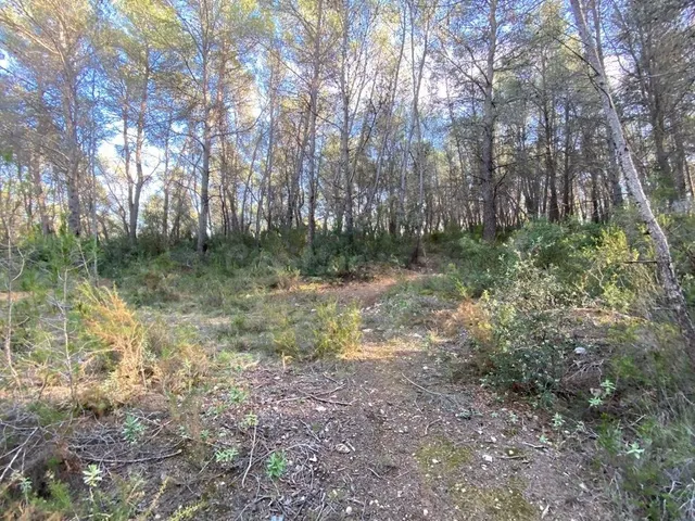 OPORTUNIDAD ENORME TERRENO EN VENTA POR 150.000€ — 2