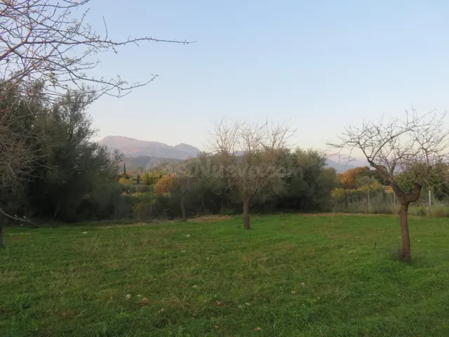 Finca rústica en venta en Selva — 3