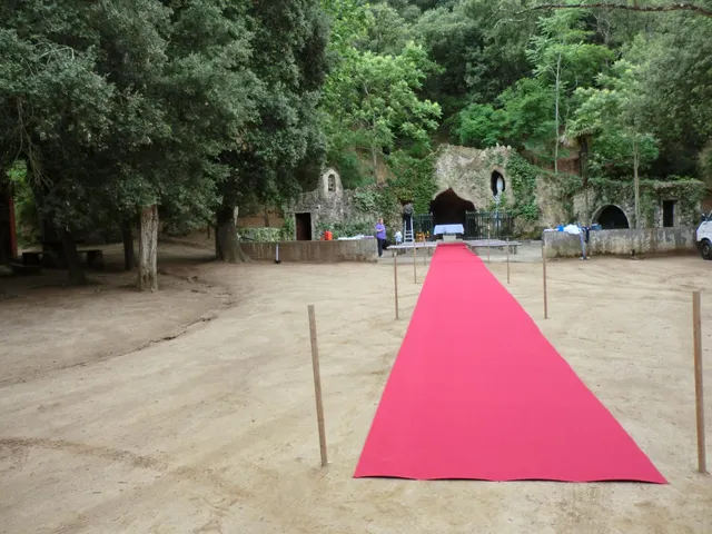 Finca rústica de 9 hectáreas en Arenys de Munt — 40
