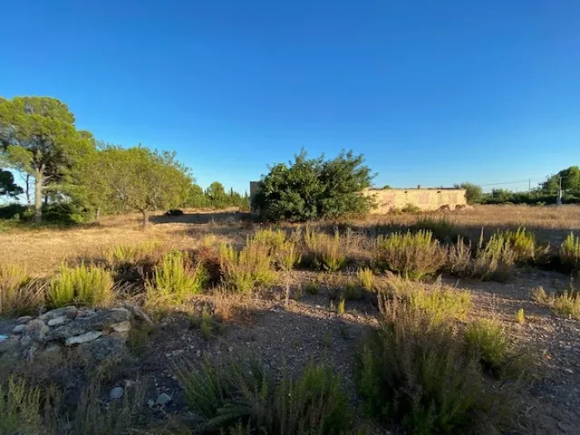 Fantástica finca a 1,5 km del mar en l'Ampolla — 11