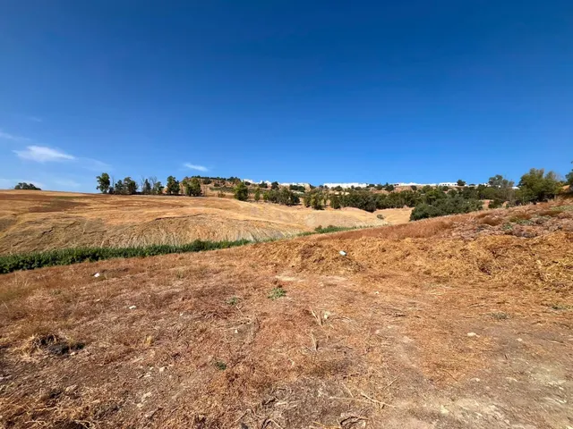 Venta de finca rústica en Carmona (Sevilla) — 3