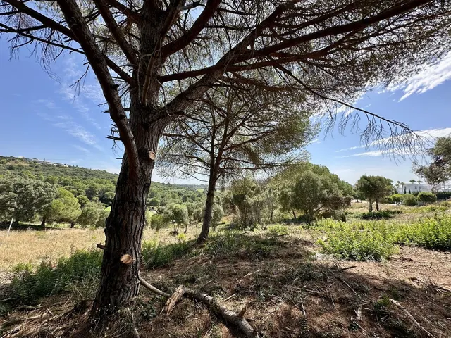 Parcela en venta - Sotogrande - Alto — 6