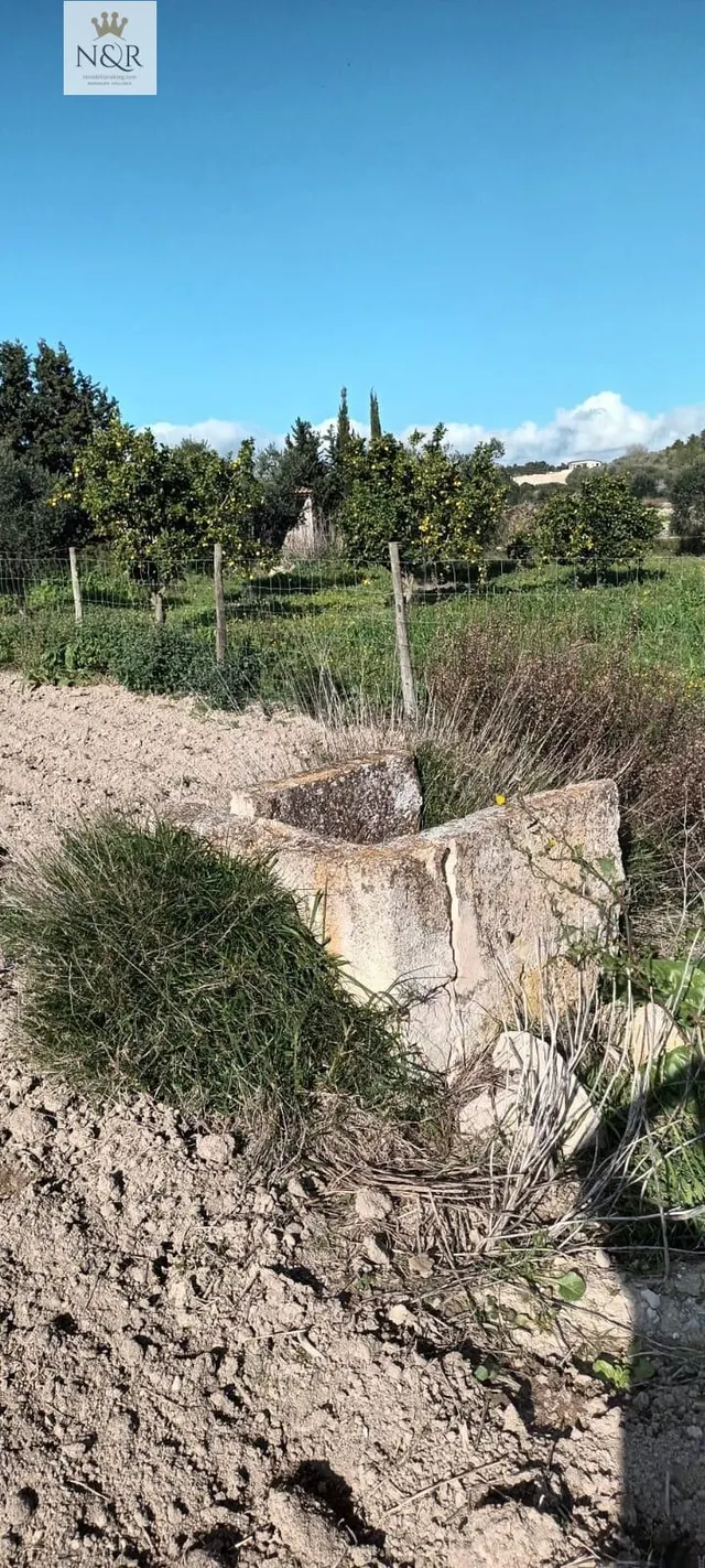 FINCA RÚSTICA CON CASETA Y AGUA - foto 3
