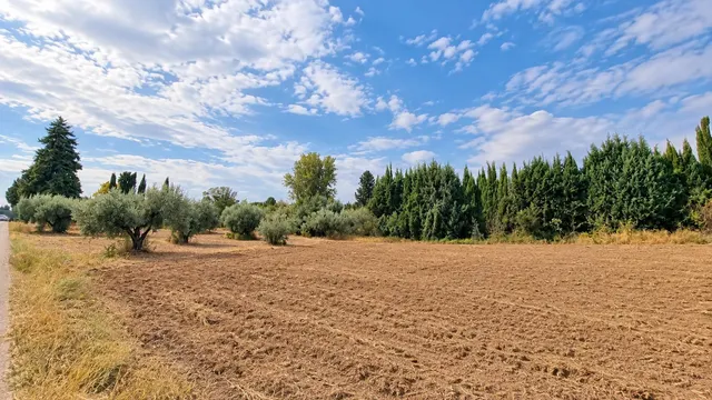 Parcela rústica de 4.824 m2 en Llanos de Moraleda, Moraleda de Zafayona — 24
