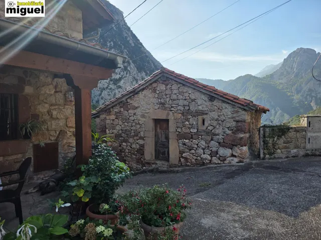 Oportunidad de Inversión en Peñarrubia - Picos de Europa — 4