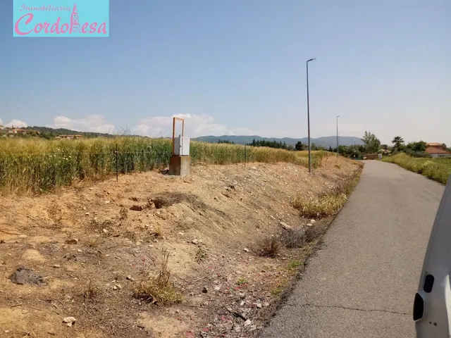 TERRENO EN CUEVAS BAJAS!!! — 3