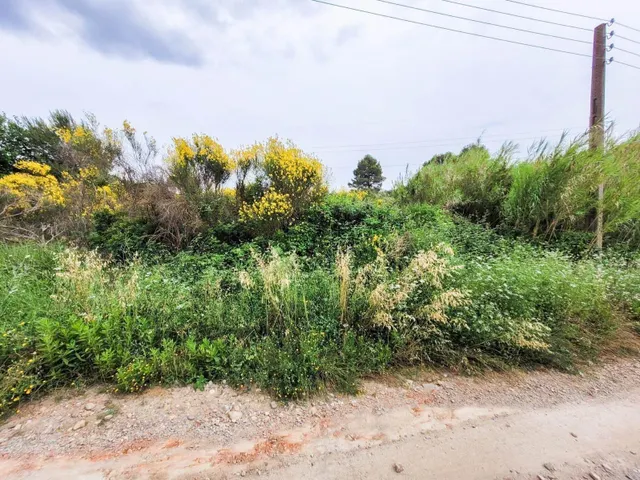 Terreno rústico de 10.735 m2 en Castellbisbal zona Can Nicolau de Dalt. — 26