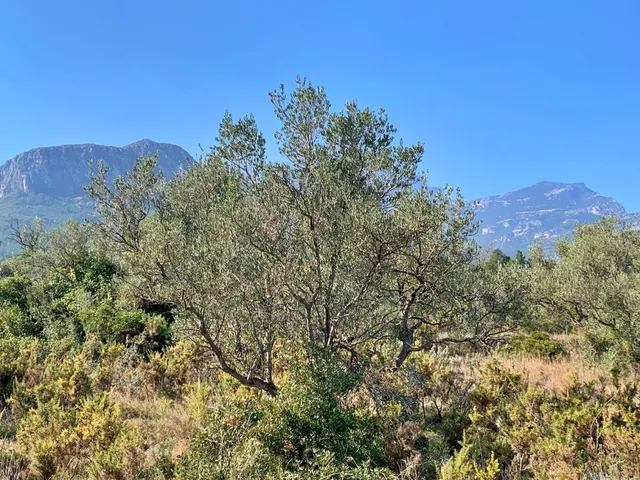 Finca rústica 15m² en venta - Roquetes — 8