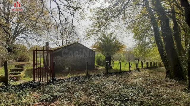 FINCA RÚSTICA DE 6.000 M2 CON GALPÓN Y POZO EN COLES (OURENS