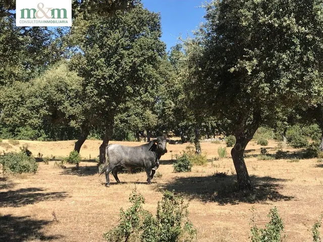 ¡¡¡CASA CON JARDIN EN VENTA EN FRADES DE LA SIERRA!!! — 49
