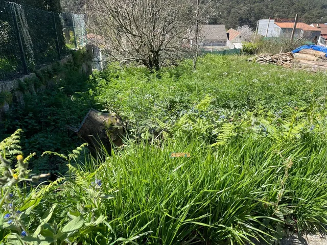 TERRENO EDIFICABLE - foto 4