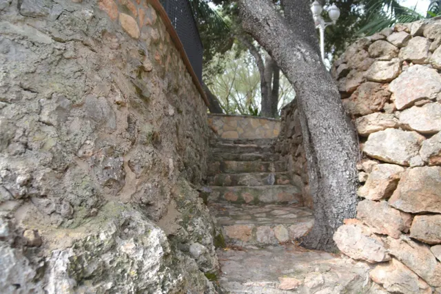 Finca rústica — 31