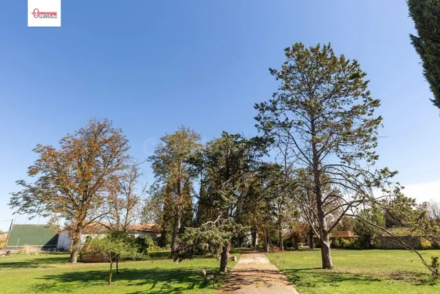 Exclusiva Casa de Piedra con 7.000 mt Terreno Arbolado y Pis - foto 4